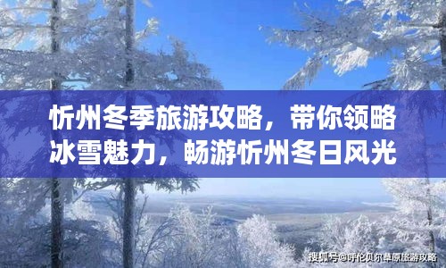 忻州冬季旅游攻略，帶你領(lǐng)略冰雪魅力，暢游忻州冬日風(fēng)光！