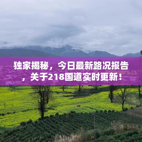 獨(dú)家揭秘，今日最新路況報(bào)告，關(guān)于218國道實(shí)時(shí)更新！