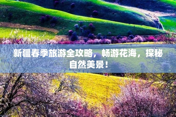 新疆春季旅游全攻略，暢游花海，探秘自然美景！