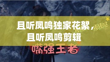 且聽鳳鳴獨家花絮，且聽鳳鳴剪輯 