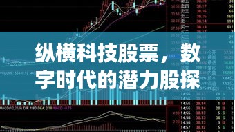 縱橫科技股票，數(shù)字時(shí)代的潛力股探索