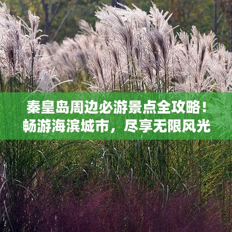 秦皇島周邊必游景點(diǎn)全攻略！暢游海濱城市，盡享無(wú)限風(fēng)光