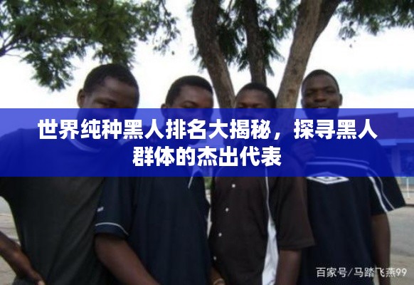 世界純種黑人排名大揭秘，探尋黑人群體的杰出代表