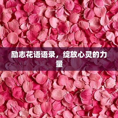 勵(lì)志花語(yǔ)語(yǔ)錄，綻放心靈的力量