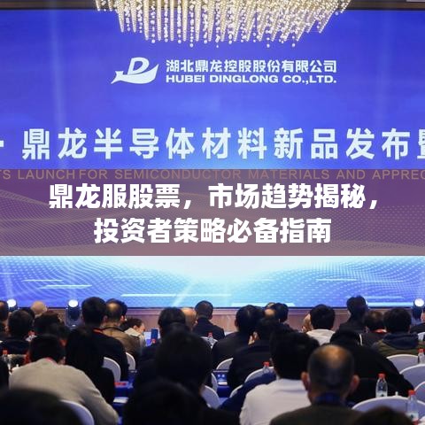 鼎龍服股票，市場(chǎng)趨勢(shì)揭秘，投資者策略必備指南