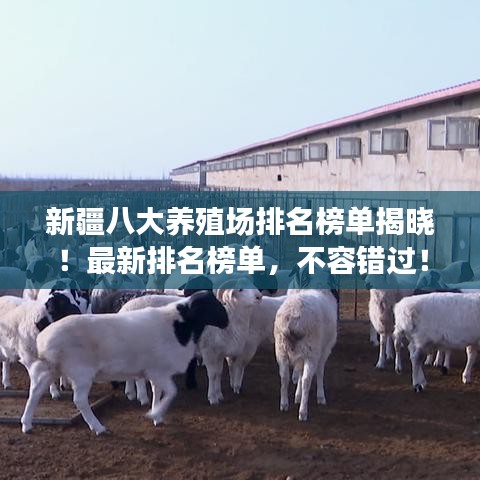 新疆八大養(yǎng)殖場排名榜單揭曉！最新排名榜單，不容錯過！