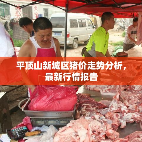 平頂山新城區(qū)豬價(jià)走勢(shì)分析，最新行情報(bào)告