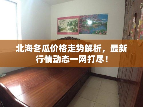北海冬瓜價(jià)格走勢(shì)解析，最新行情動(dòng)態(tài)一網(wǎng)打盡！
