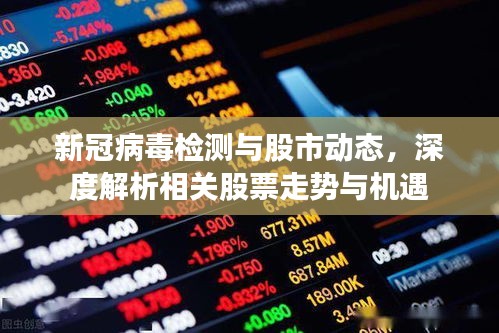 新冠病毒檢測與股市動態(tài)，深度解析相關股票走勢與機遇