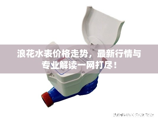 浪花水表價(jià)格走勢(shì)，最新行情與專(zhuān)業(yè)解讀一網(wǎng)打盡！