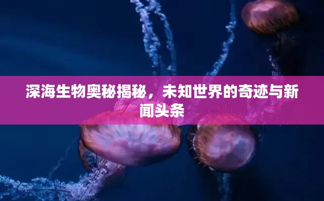 深海生物奧秘揭秘，未知世界的奇跡與新聞?lì)^條