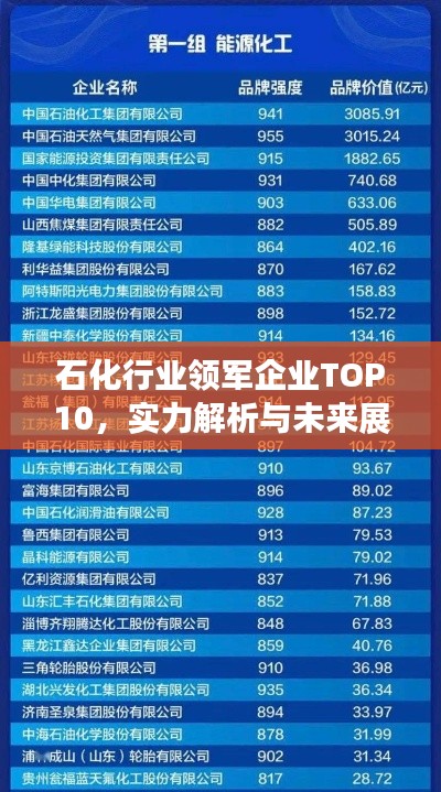 石化行業(yè)領(lǐng)軍企業(yè)TOP10，實(shí)力解析與未來(lái)展望