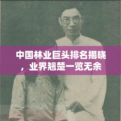 中國林業(yè)巨頭排名揭曉，業(yè)界翹楚一覽無余