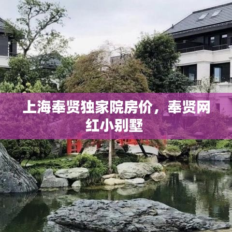 上海奉賢獨家院房價，奉賢網(wǎng)紅小別墅 