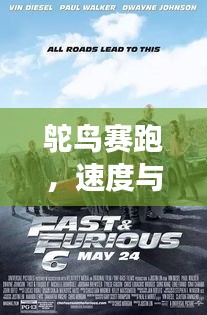 鴕鳥賽跑，速度與優(yōu)雅的激情競技之旅