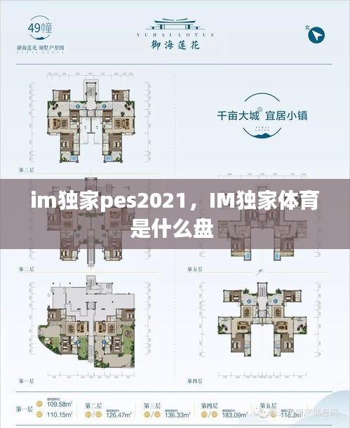 im獨(dú)家pes2021，IM獨(dú)家體育是什么盤(pán) 