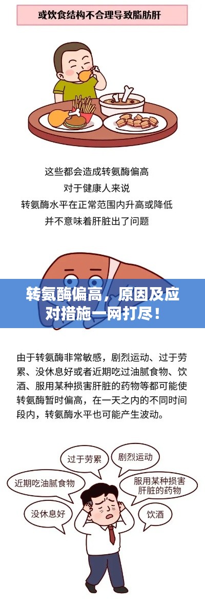 轉(zhuǎn)氨酶偏高，原因及應對措施一網(wǎng)打盡！
