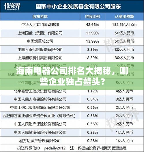 海南電器公司排名大揭秘，哪些企業(yè)獨占鰲頭？