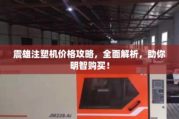 震雄注塑機(jī)價格攻略，全面解析，助你明智購買！