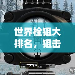 世界栓狙大排名，狙擊槍界的翹楚榜單揭曉！