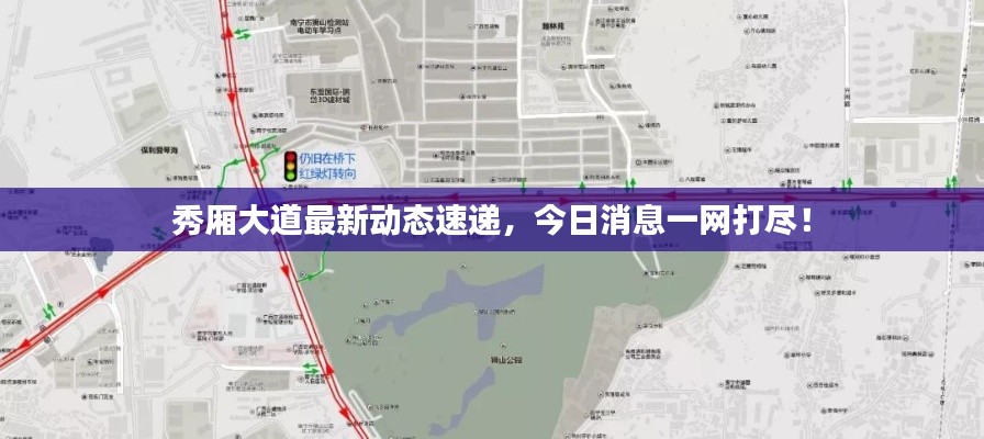 秀廂大道最新動(dòng)態(tài)速遞，今日消息一網(wǎng)打盡！