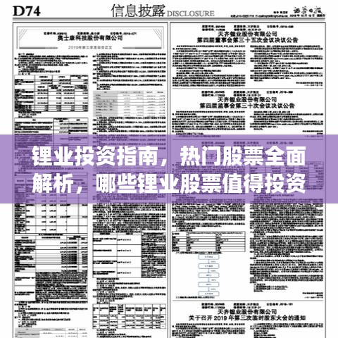 鋰業(yè)投資指南，熱門股票全面解析，哪些鋰業(yè)股票值得投資？
