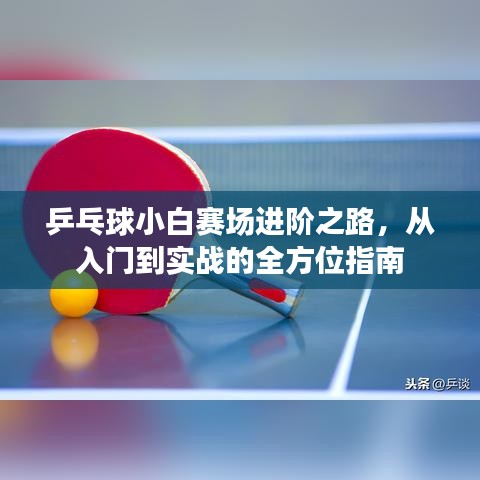 乒乓球小白賽場進階之路，從入門到實戰(zhàn)的全方位指南