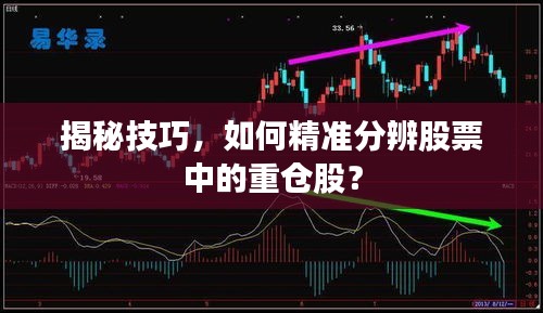 揭秘技巧，如何精準(zhǔn)分辨股票中的重倉(cāng)股？