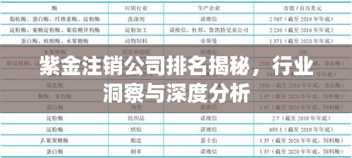 紫金注銷公司排名揭秘，行業(yè)洞察與深度分析