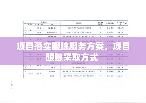 項目落實跟蹤服務(wù)方案，項目跟蹤采取方式 