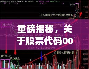 重磅揭秘，關(guān)于股票代碼002294的全面深度解讀與分析