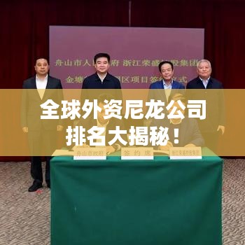 全球外資尼龍公司排名大揭秘！