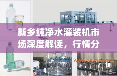 新鄉(xiāng)純凈水灌裝機(jī)市場深度解讀，行情分析與趨勢展望