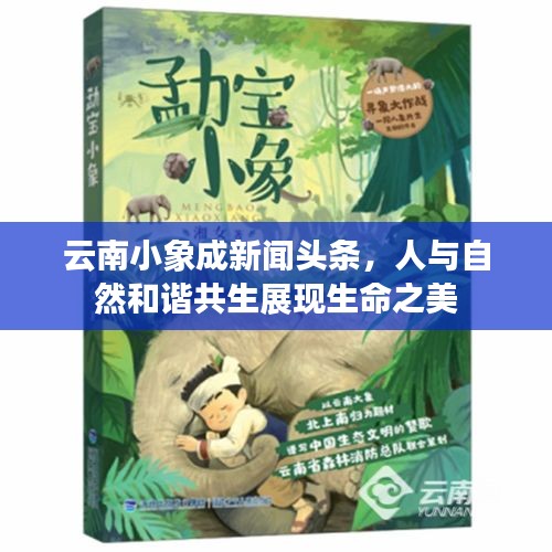 云南小象成新聞頭條，人與自然和諧共生展現(xiàn)生命之美