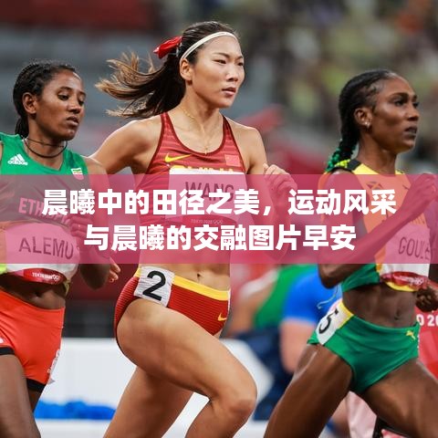 晨曦中的田徑之美，運動風(fēng)采與晨曦的交融圖片早安