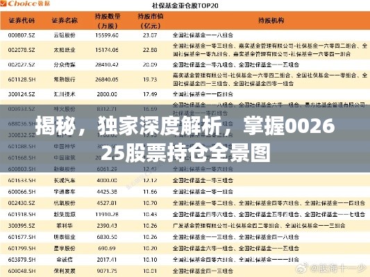 揭秘，獨(dú)家深度解析，掌握002625股票持倉全景圖