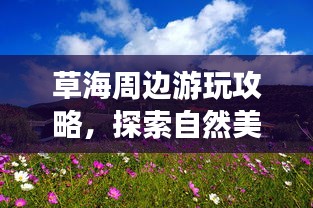 草海周邊游玩攻略，探索自然美景，盡享愜意之旅！