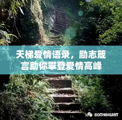 天梯愛情語錄，勵志箴言助你攀登愛情高峰