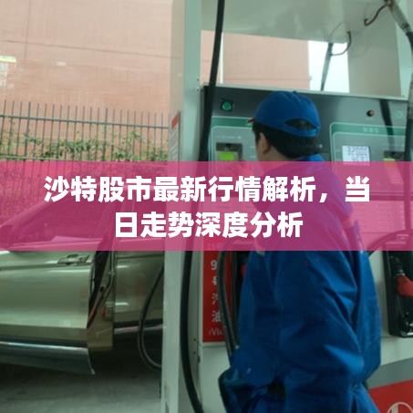 沙特股市最新行情解析，當(dāng)日走勢深度分析