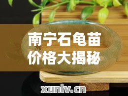 南寧石龜苗價格大揭秘，最新行情分析！