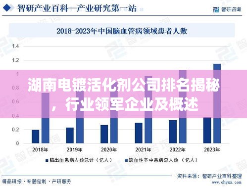湖南電鍍活化劑公司排名揭秘，行業(yè)領(lǐng)軍企業(yè)及概述