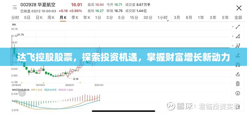 達(dá)飛控股股票，探索投資機(jī)遇，掌握財富增長新動力