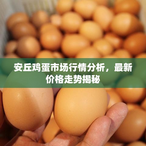 安丘雞蛋市場行情分析，最新價格走勢揭秘