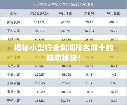 揭秘小型行業(yè)利潤排名前十的成功秘訣！