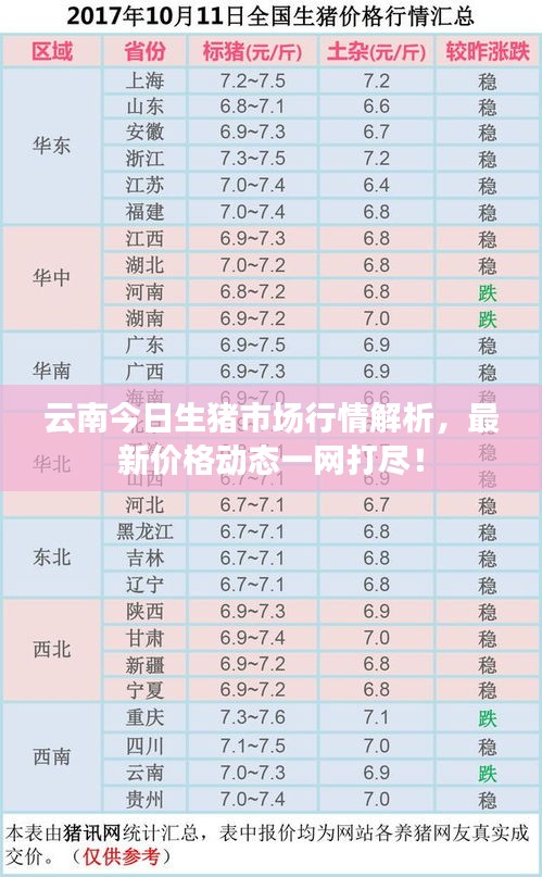 云南今日生豬市場行情解析，最新價(jià)格動(dòng)態(tài)一網(wǎng)打盡！