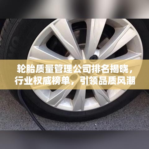 輪胎質(zhì)量管理公司排名揭曉，行業(yè)權(quán)威榜單，引領(lǐng)品質(zhì)風(fēng)潮！
