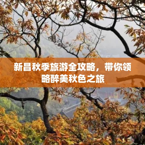 新昌秋季旅游全攻略，帶你領(lǐng)略醉美秋色之旅