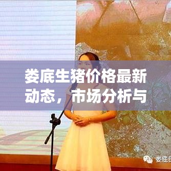 婁底生豬價(jià)格最新動(dòng)態(tài)，市場(chǎng)分析與趨勢(shì)預(yù)測(cè)