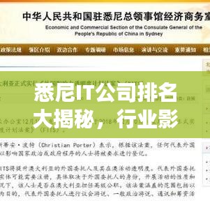 悉尼IT公司排名大揭秘，行業(yè)影響力深度解析