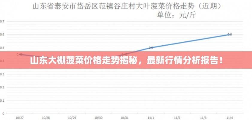 山東大棚菠菜價格走勢揭秘，最新行情分析報告！